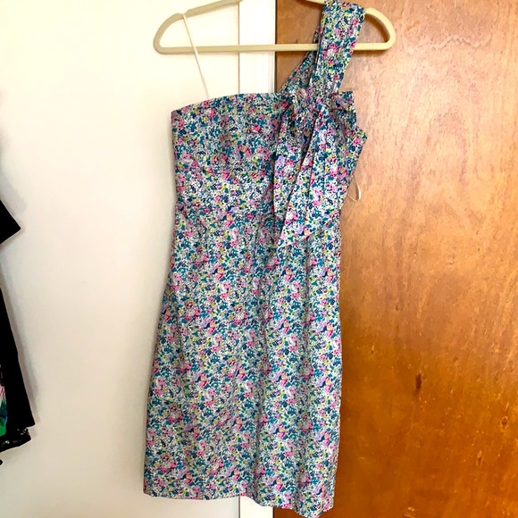 J Crew Special Dress - Picture 5 of 6